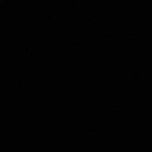 Meet your Posher, Claire